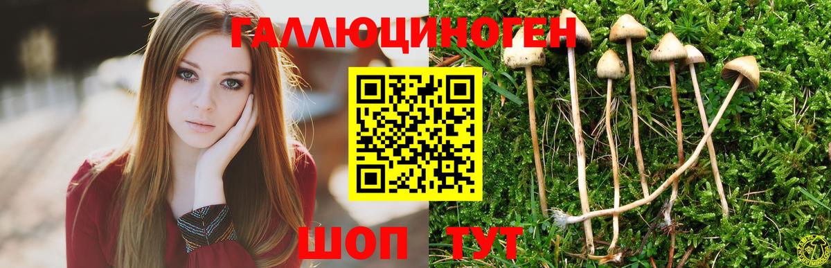 Галлюциногенные грибы GOLDEN TEACHER  Галлюциногенные грибы ЛСД  Вход с VPN  Домодедово 